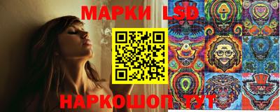 mdpv Можга