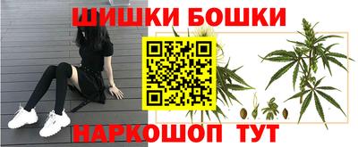 дмт Моздок