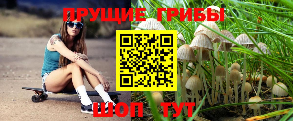 Владивосток  Галлюциногенные грибы Magic Shrooms  Вход с VPN 
