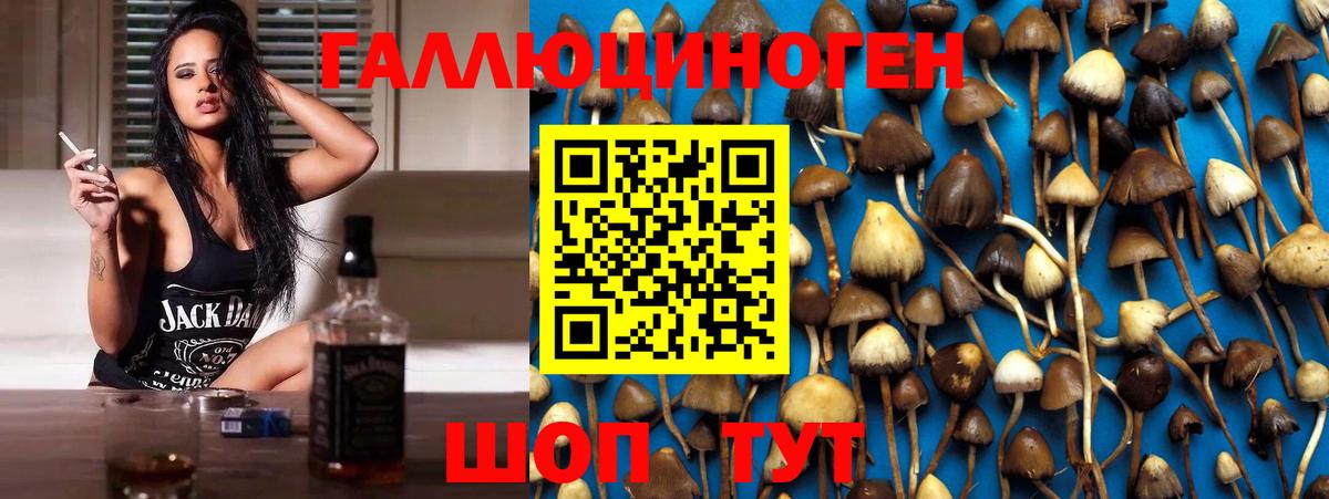 Галлюциногенные грибы Magic Shrooms Владивосток